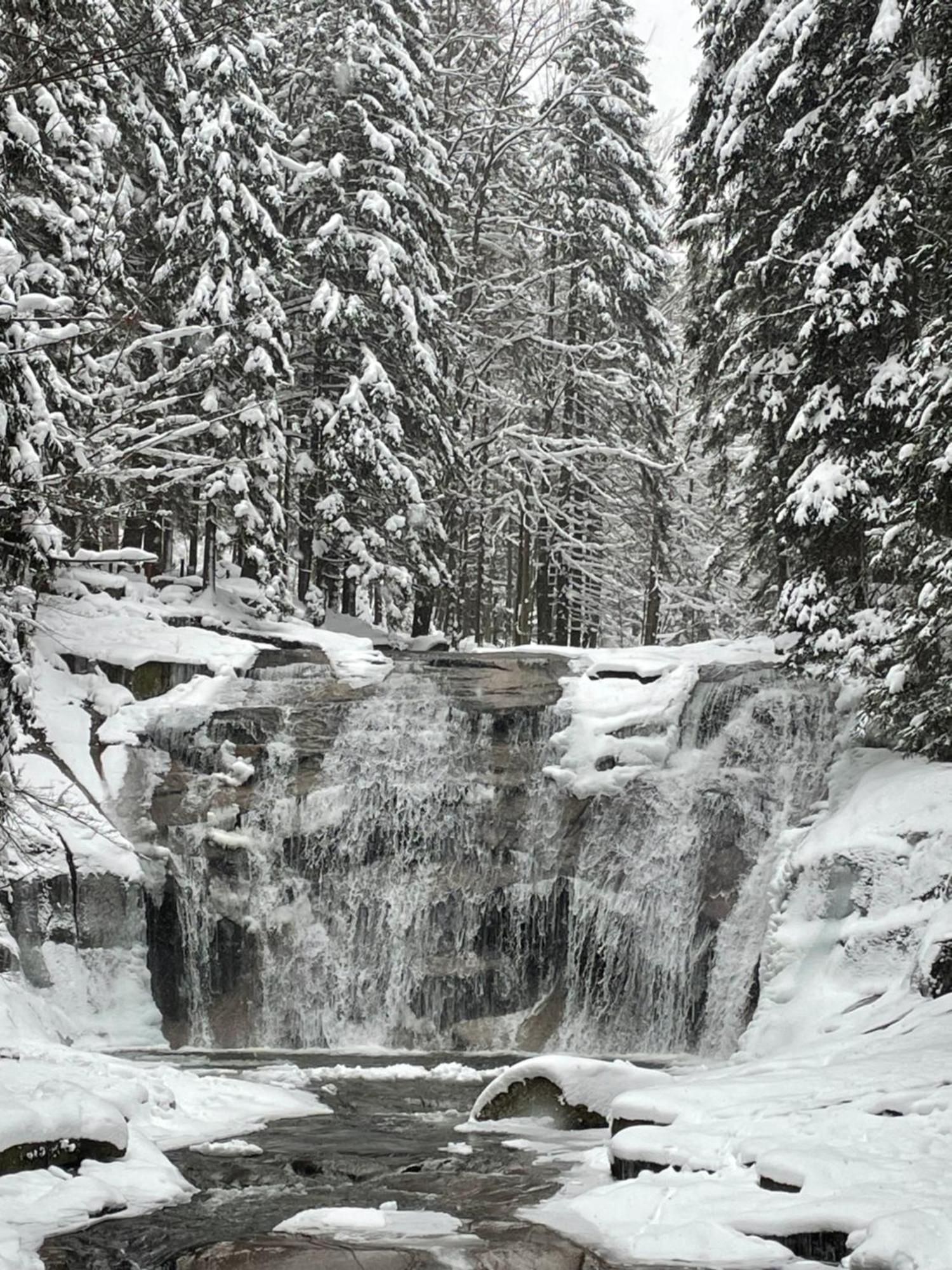 Spirit Harrachov Superior Wellness Apartments - Free Wellness, Wifi, Parking, Harrachov Card ภายนอก รูปภาพ