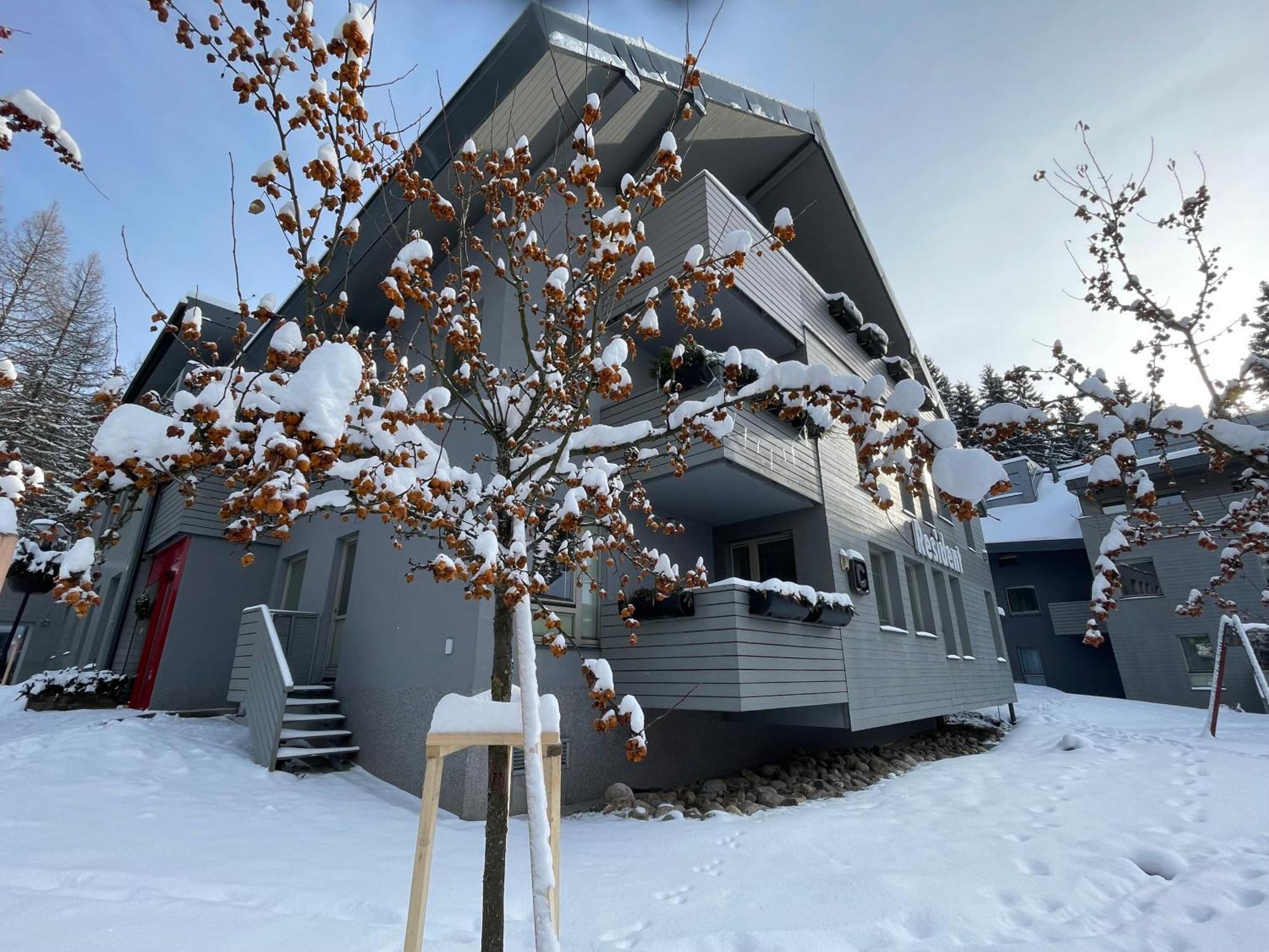 Spirit Harrachov Superior Wellness Apartments - Free Wellness, Wifi, Parking, Harrachov Card ภายนอก รูปภาพ
